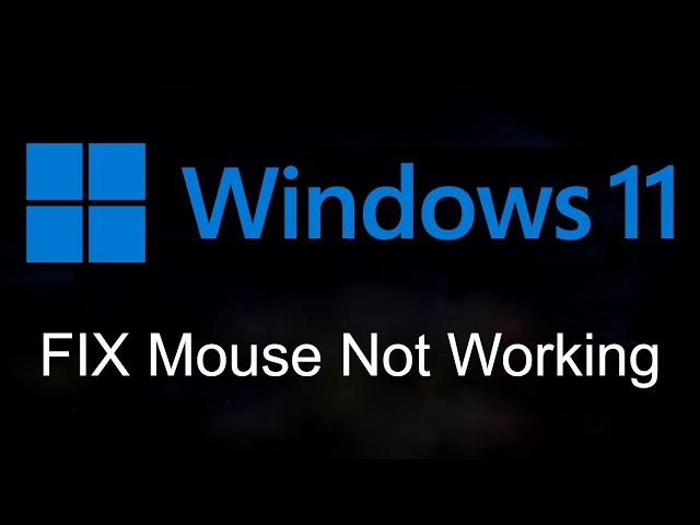 Usb Mouse Not Working Windows 11 | Mouse Not Working in Windows 11 FIX