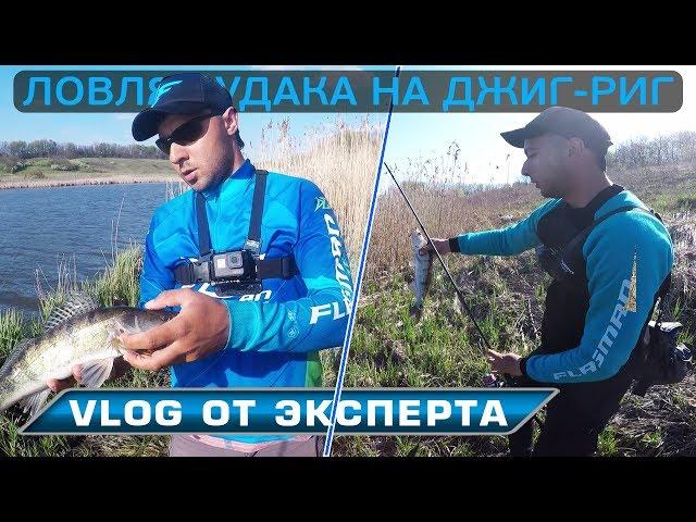 Спиннинговая рыбалка! Ловля судака на джиг риг! VLOG от братьев Билан!