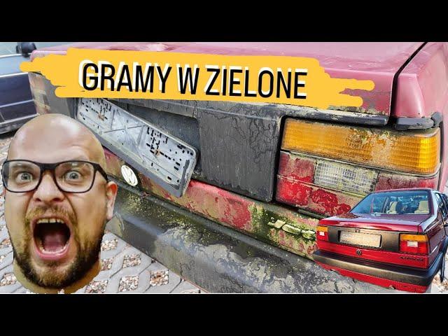 Gratodetailing 3: gramy w zielone z VW Jettą. #detailer #comedy #detailing