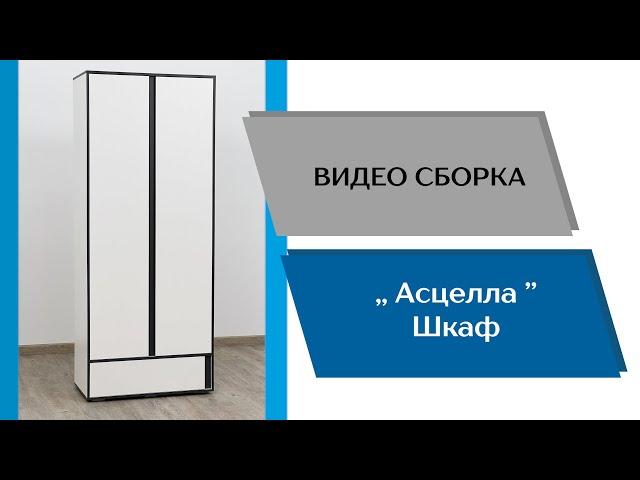 Подростковая Асцелла. Шкаф