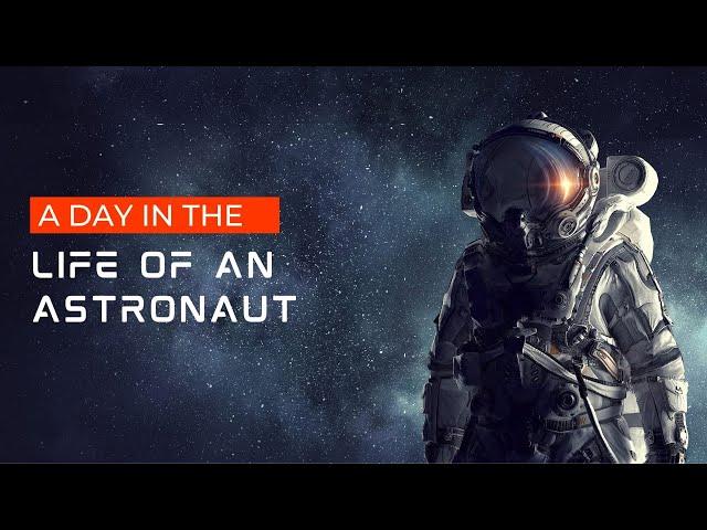 OMG How A Day In The Life Of An Astronaut Looks Like