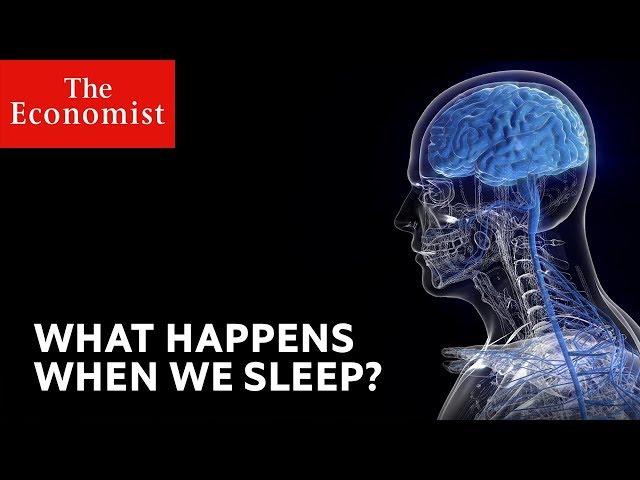 What happens when we sleep?