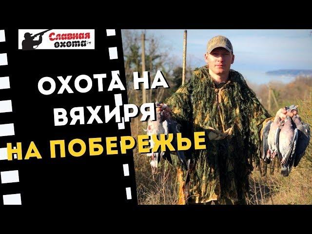Охота на вяхиря 2019\\Охота на вяхиря на Побережье\\Славная Охота