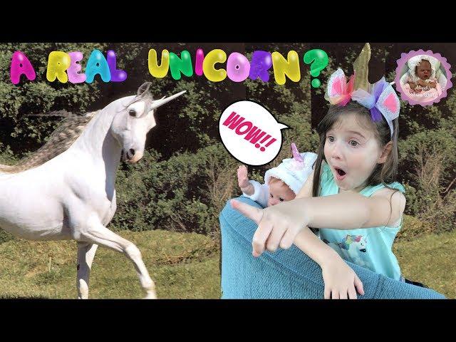 IS THAT A REAL UNICORN?? Theme Thursday - UNICORNS!!