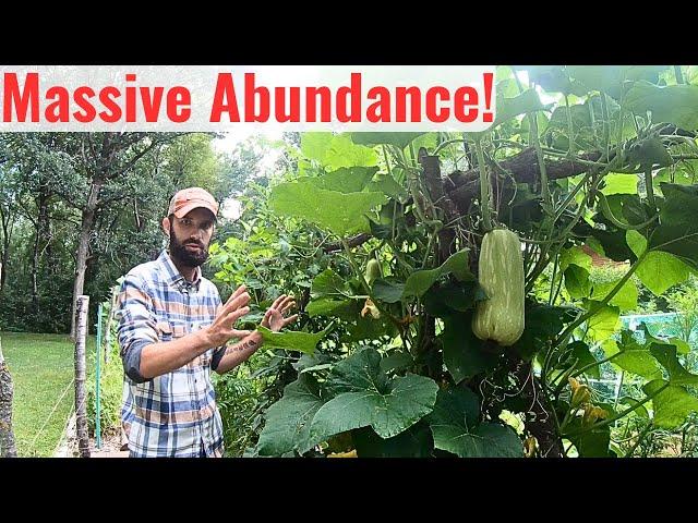 How We Feed our Family with a 20x40 ft. Garden - COMPLETE TOUR