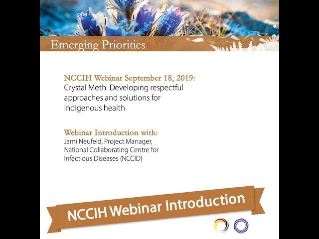 NCCIH Webinar Crystal Meth Introduction