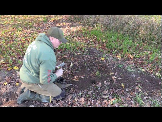 RED FOX CATCH,RELEASE (watch her run) AND REMAKE -Dunlap Lures