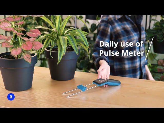 Bluelab Pulse Multimedia EC/MC Meter Overview