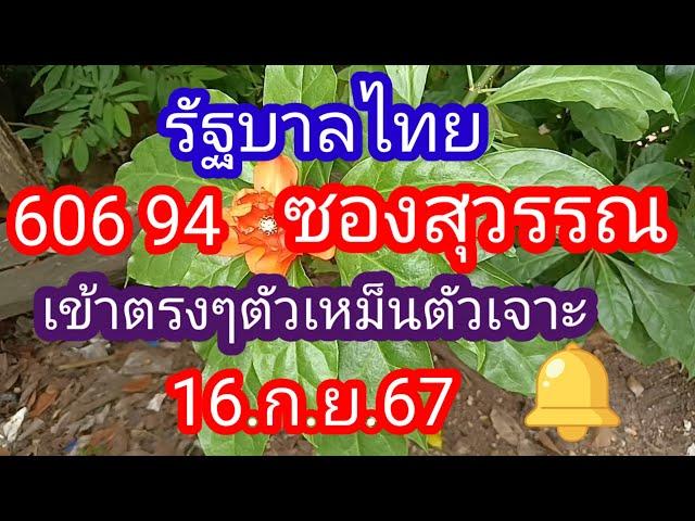 รัฐบาลไทย 606 94 ซองสุวรรณ_เข้าตรงๆ ทั้งสูตรตัดและสูตรเต็ม_16 .ก.ย.67_@มาดามคํานวณChanel