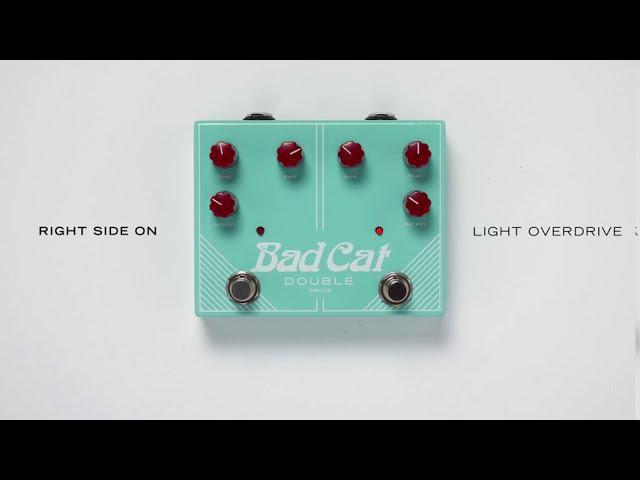 The Double Drive by Bad Cat Amps