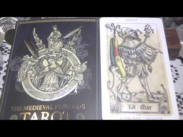 THE MEDIEVAL FEATHERS TAROT DECK SET/BY ALEJANDRO R. ROZÀN/ EXQUISITE FEATHER'S & CENTURIES OLD ART