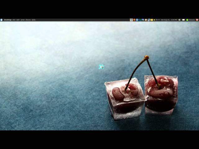 Screen Recording Using FFmpeg X11grab & Xwininfo - Ubuntu 10.04