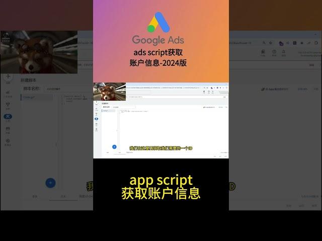 【获取账户信息】【2024版】google ads script入门教程