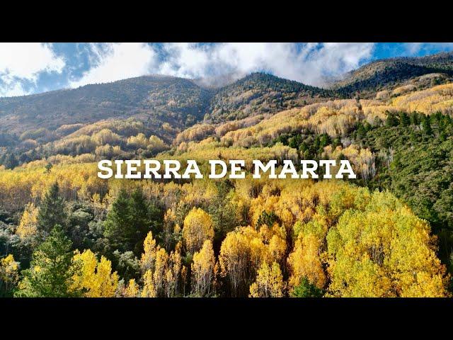 Autumn has arrived in Mexico : A hike between Golden Leaves in the Sierra de Marta