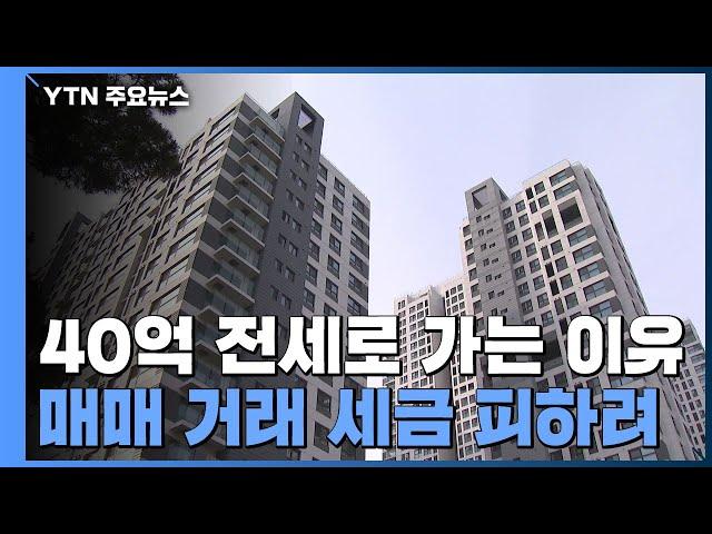 그들이 사는 세상...전세 40억 넘어도 몰리는 이유는? / YTN