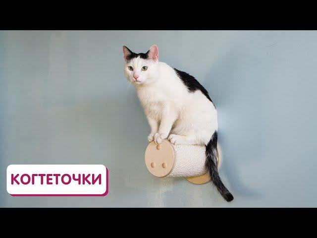 Настенная когтеточка для кошек