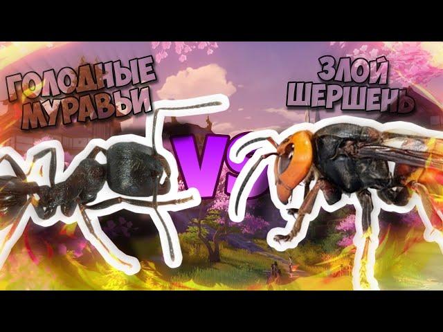 МУРАВЬИ-ЖНЕЦЫ против ШЕРШНЯ в МУРАВЬИНОЙ ФЕРМЕ. Ants VS Hornet | Messor Structor VS Vespa Crabro.