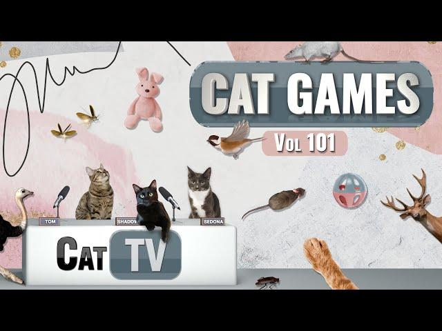 CAT Games | Ultimate Cat TV Compilation Vol 101 | 6 HOURS  