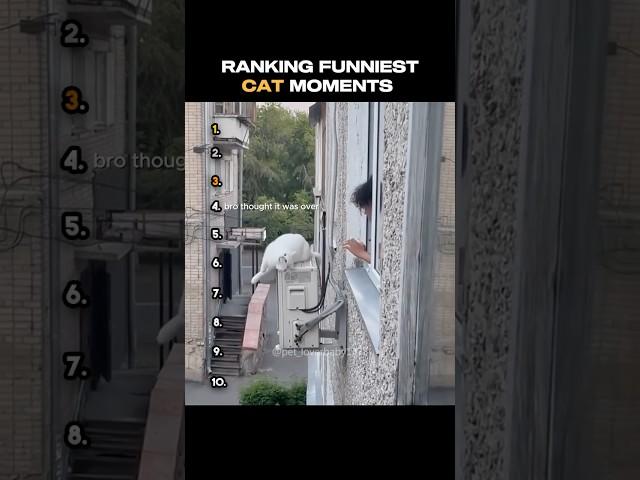 Ranking Funniest CAT Moments‍⬛