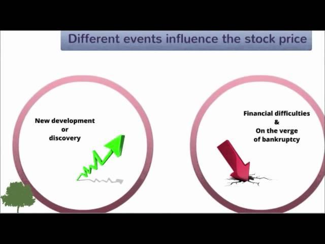 Stocks - Lesson A | Global Finance School
