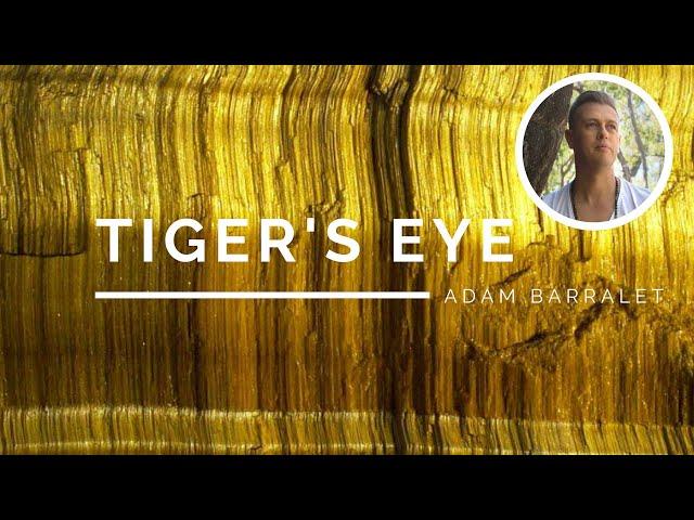 Tiger's Eye - The Crystal of Radiant Success