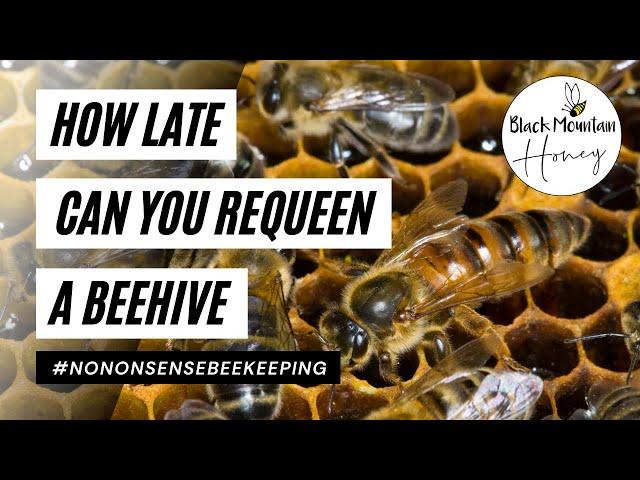 How Late Can You Requeen A Beehive - Requeening Late In The Season - How to Requeen A Beehive