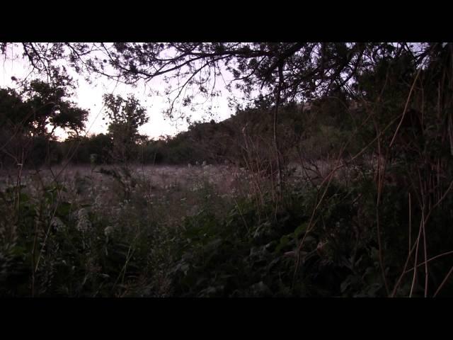 Bryan's Goulds Turkey Hunt with Jay Scott