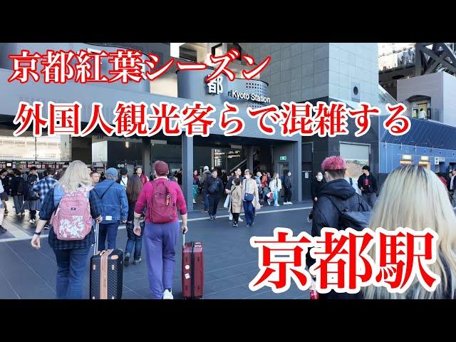 2024年11月21日（木） 【京都の紅葉シーズン】 外国人観光客が行き交う京都駅を歩く Walking around Kyoto Station 【4K】