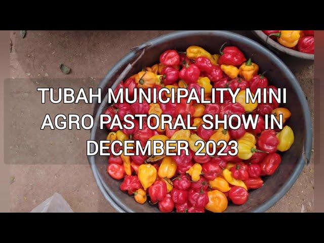 Tubah municipality mini Agro pastoral show in December 2023