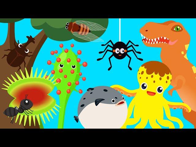 kids song collection carnivorous plants song [Nature Friend Song]