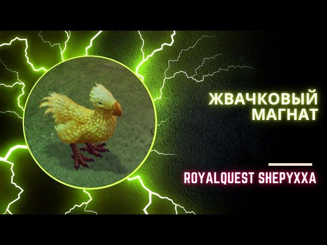 Royal Quest - Жвачковый Магнат