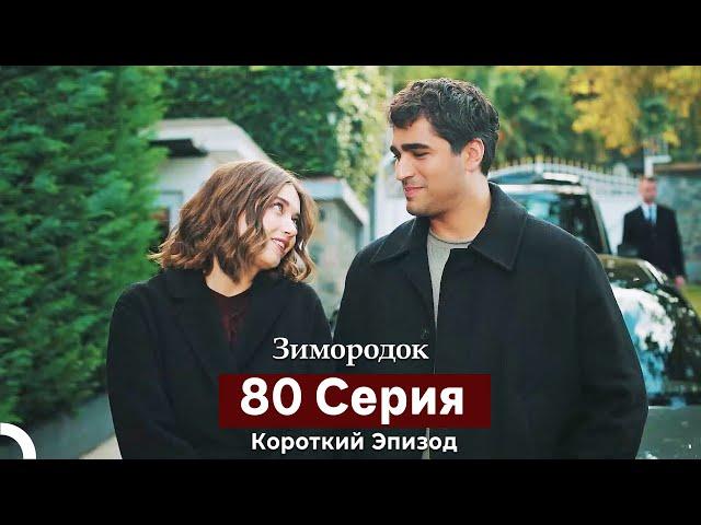 Зимородок 80 Cерия (Русский дубляж)