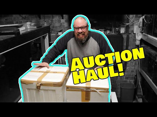 Aquarium fish auction unboxing!