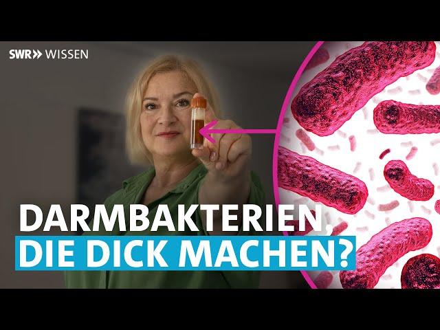 Mein Darm die Mikroben und Ich: Abnehmen durch Darmsanierung | SWR Wissen