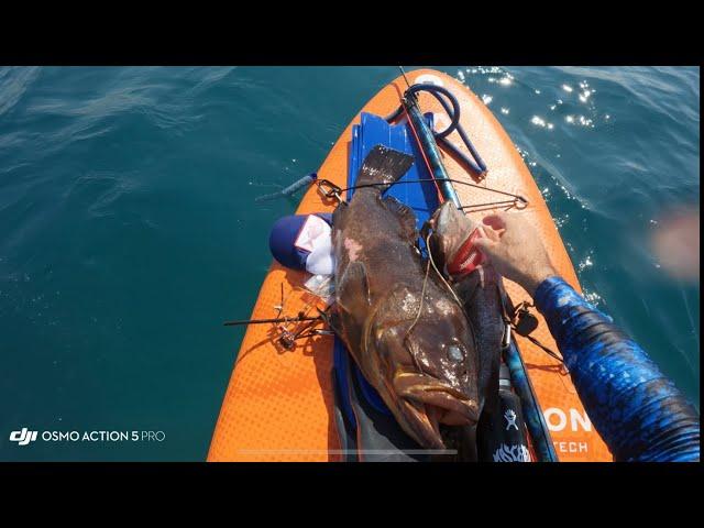 Tsoor Hartov Spearfishing Israel 5.10.2024 2 groupers