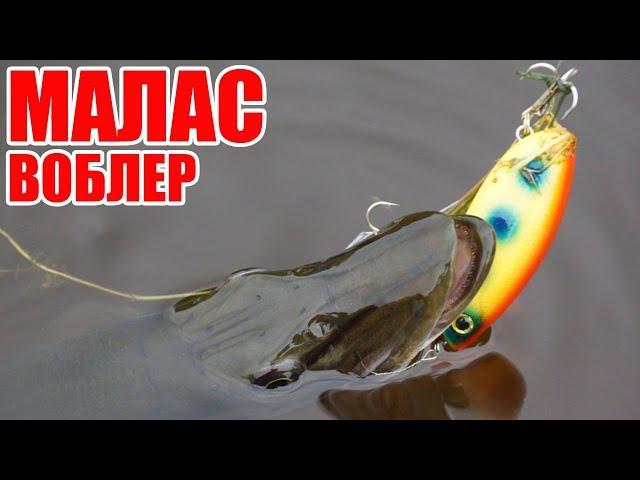 Малас (MALAS) - воблер который сделал эту осеннюю рыбалку!