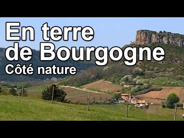 En terre de Bourgogne - Côté Nature