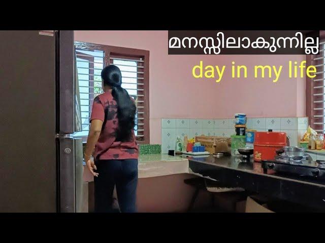 നമ്മുടെ വീട്ടിൽ ചില മാറ്റങ്ങളും ആവശ്യമല്ലേ || Day in My Life Malayalam of a Malayali Housewife Vlog