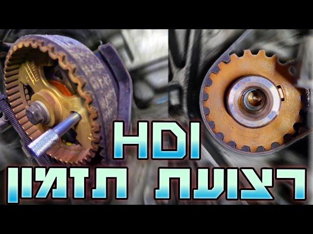 החלפת רצועת תזמון במנועי HDi [פיג'ו, סיטרואן, DS, Ford]