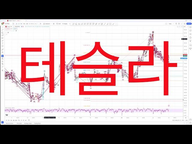 [테슬라] 단기적인 파동 움직임과 울트라 장기 관점을 살펴봅니다.  2024 10 26