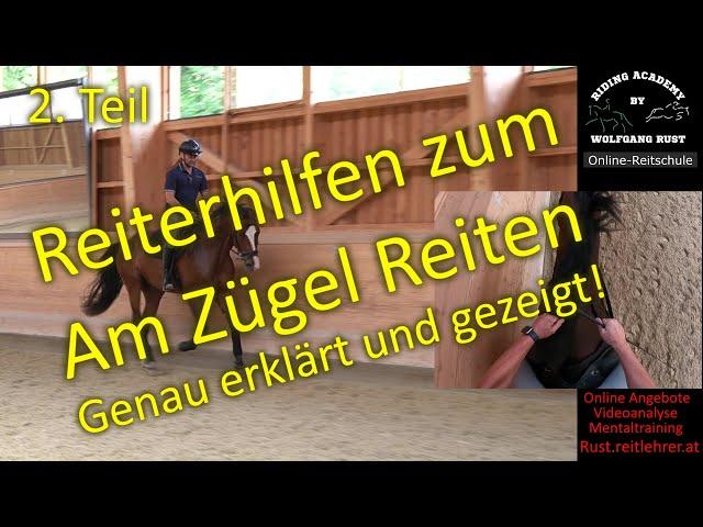 F118 Was heißt Pferde durchs Genick reiten/Pferde am Zügel reiten? Pferde richtig rund reiten lernen