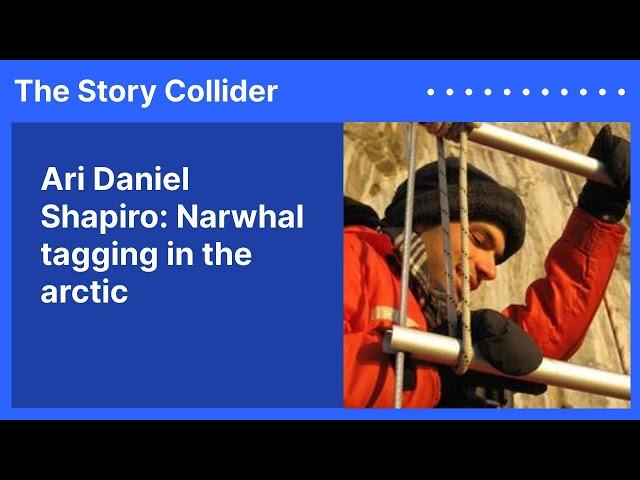 Ari Daniel Shapiro: Narwhal tagging in the arctic | The Story Collider