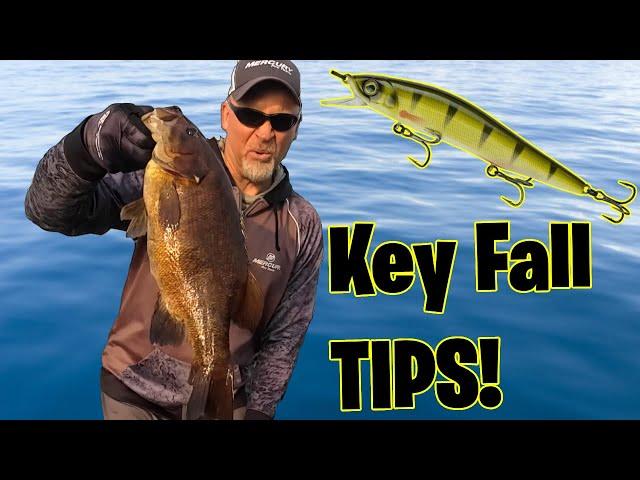 ONE Simple Fix for Fall Bass Fishermen's Jerkbait Problem