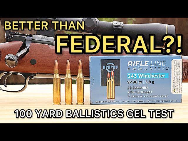 243 Winchester PPU 90gr SP Ballistics Gel Ammo Test