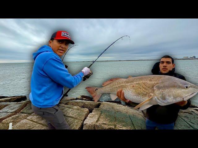 Fishing The Surfside Jetty for HUGE Fish! Non Stop Action