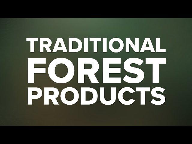 Keeping Forests 2021 Year In Review - Traditional Forest Products Section