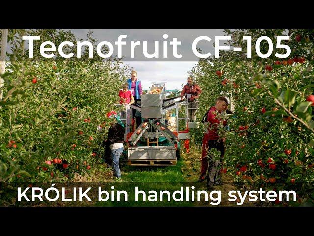 KRÓLIK bin handling system with Darwin TECNOFRUIT CF-105 | Z-4 bin shuttle trailer