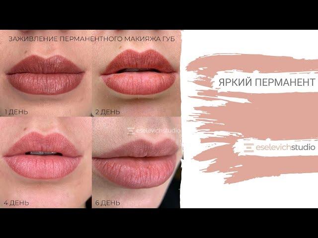 Очень яркий перманент!! Что делать? #перманентныймакияж  #перманент #брови #shorts #совет #татуаж