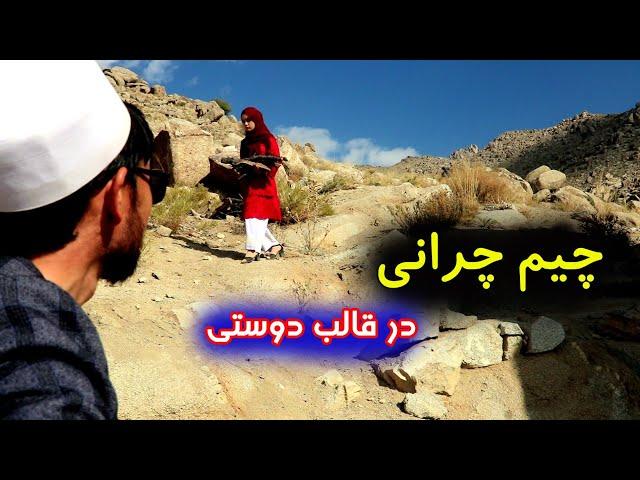 چشم چرانی در قالب دوستی New informative short film