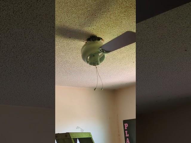 Ceiling fan going nuts #ceilingfan #funny #shorts #stupidvideo